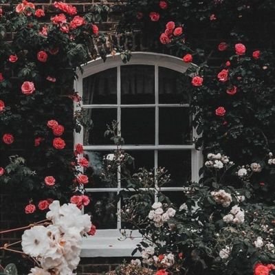 ms_xx89's profile picture. 
