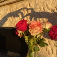 عين و غين🕊 (@ayen_ghen) Twitter profile photo