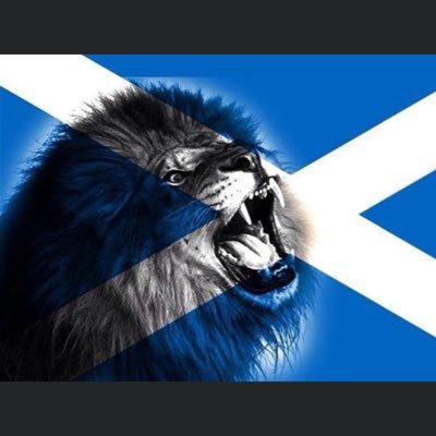 love life family mellowed out now,socialising bikes iomtt moto gp anything with an engine, and an animal lover,be brave for my random views #indyref2