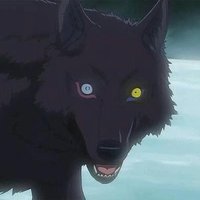 KSLawWolf(@KSLawWolf) 's Twitter Profile Photo