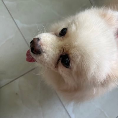 longkathay's profile picture. 