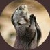 kevoo (@kelvinkabadi) Twitter profile photo kevoo (@kelvinkabadi) Twitter profile photo