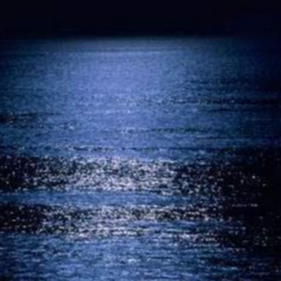 foxlad73's profile picture. 