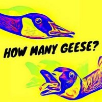 How many geese? Podcast(@HowManyGeesePod) 's Twitter Profileg