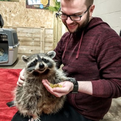 SamTurrell's profile picture. York, UK. Personality of a brick, lover of puns. Lead Frontend Engineer at @hedgehoglab