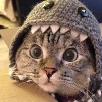 Lithpotatt (@lithpotatt) 's Twitter Profile Photo