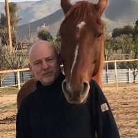 Ara (@ara4usa) 's Twitter Profile Photo Ara (@ara4usa) 's Twitter Profile Photo