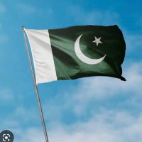 Moeed Naeem (@moeednaeemt) 's Twitter Profile