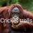 Cricket trolls