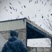 Milosz Cousens (@birdingwarsaw) Twitter profile photo Milosz Cousens (@birdingwarsaw) Twitter profile photo
