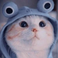 musika21 (@jucmusika) 's Twitter Profile Photo