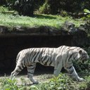 Daniel Vernier - @daniel_vernier - Twitter