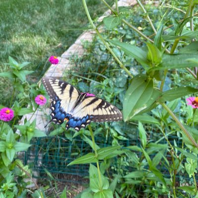 shortontime76's profile picture. 