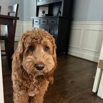 OJRpdmyfatherFF's profile picture. 