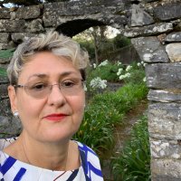 Oana Lungescu (@lungescu) 's Twitter Profile