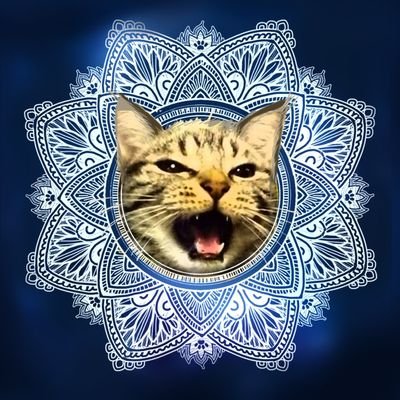 Cats,Wind & Fire😺3/23はちねこマルシェ3/29〜30ねこのきもちマルシェさんのプロフィール画像