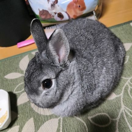 takarin39's profile picture. 