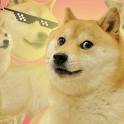 bishijie0's profile picture. 命由己作，宜广积阴德～