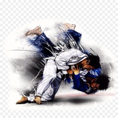 Judo Ka