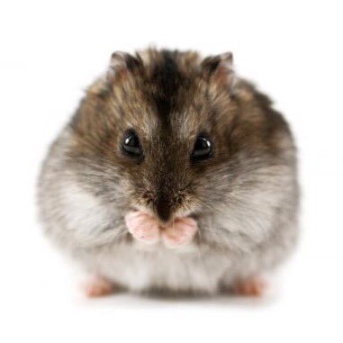 lullabyys6x's profile picture. 