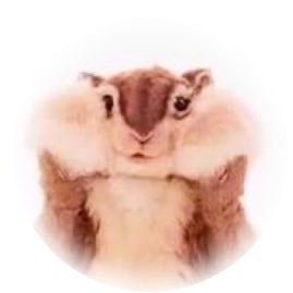 maco_o_o_'s profile picture. あげヴァギ