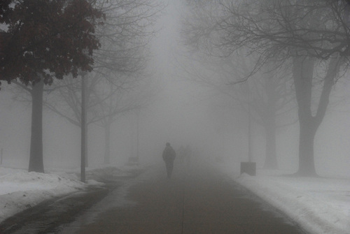 If you run in the fog, you might consider a flash light.