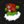 Space Dog World (@SpaceDogWorld) profile picture