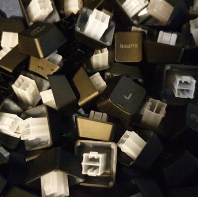 HgcMesta's profile picture. 