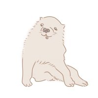 きい (@tqb04) 's Twitter Profile