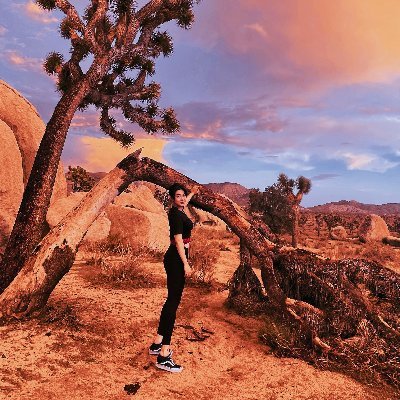 Shirley68728433's profile picture. 