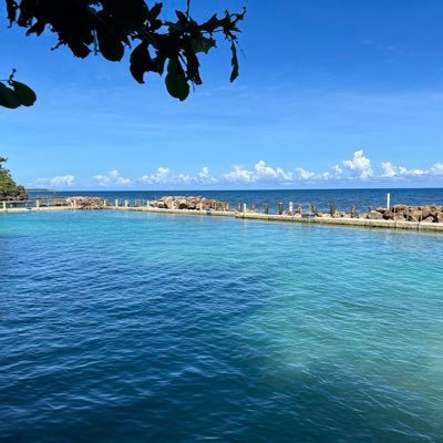 SeanDev7's profile picture. 