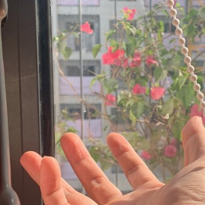 pduong111's profile picture. Dị