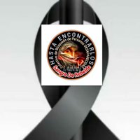Selene Alvarez (@selenea50115504) 's Twitter Profile Photo Selene Alvarez (@selenea50115504) 's Twitter Profile Photo