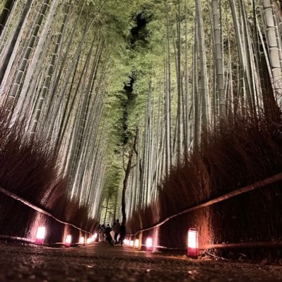 職業:コスケです趣味は釣り、休みの日はだいたい海か琵琶湖か迷子になってます、こんなコスケですが よろしくお願いします、