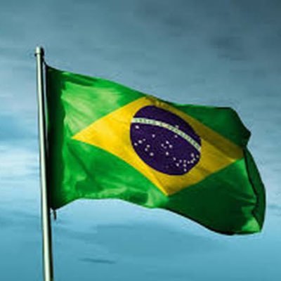 pitchobr's profile picture. 