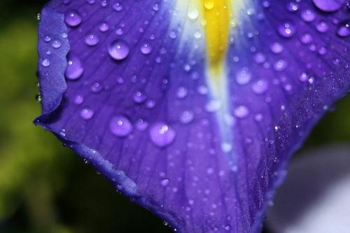 Tweetsinalens's profile picture. Photographers from Swansea