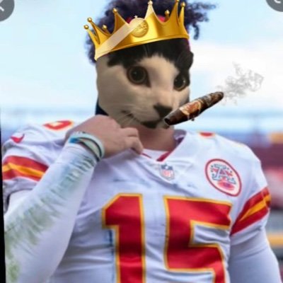 cat_mahomes's profile picture. Lover of Dynasty Football, The Pittsburgh Steelers, and Cats ~ Winner of Noigel ‘22 (GM Parody Account)