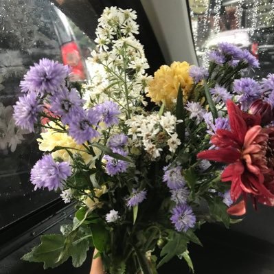 bolanyangkut's profile picture. RM2NP66H