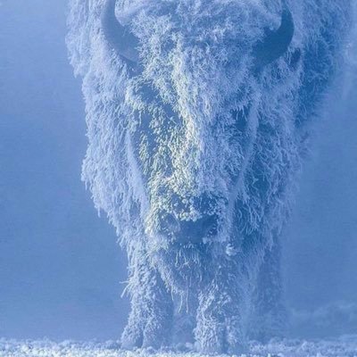 BurrIii's profile picture. 