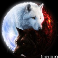 DaemonLupus (@daemonwolf92) 's Twitter Profile