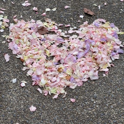 emitllits's profile picture. 👦R4.12 24w840g 早産 重心 全盲 👶R7.9 38w