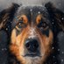We love dogs. 🐕🐶😍 (@dogandpuplovers) Twitter profile photo We love dogs. 🐕🐶😍 (@dogandpuplovers) Twitter profile photo