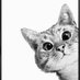 Chat_Mallow ⚖️ (@chatoccitan) Twitter profile photo Chat_Mallow ⚖️ (@chatoccitan) Twitter profile photo