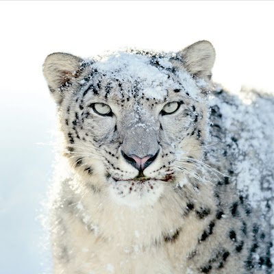 SforeverSpook's profile picture. 