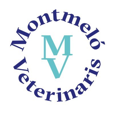 🐕🐈 Especialistes en medicina veterinària canina i felina
📞935721236
📞640678290 (WhatsApp)
info@montmeloveterinaris.com