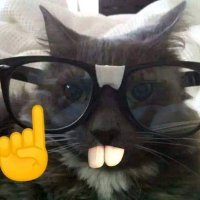 Ye clown (@omarbrcenassnc1) 's Twitter Profile