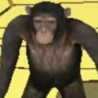 LUANGAMEPLAY - O MERCENÁRIO MAIS GORDO DO BRASIL (@luangameplay666) 's Twitter Profile Photo LUANGAMEPLAY - O MERCENÁRIO MAIS GORDO DO BRASIL (@luangameplay666) 's Twitter Profile Photo