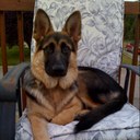 Charles Mick - @ozzi53 - Twitter