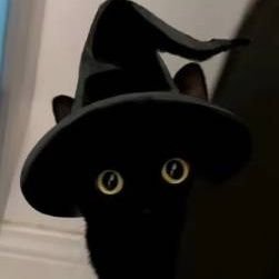 ffukkkkon's profile picture. 😭