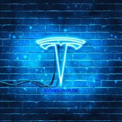 RL2200TSLA's profile picture. Business owner & Investor : Trading the futures, stocks, & crypto. My strongest convictions are $BTC & $TSLA !!